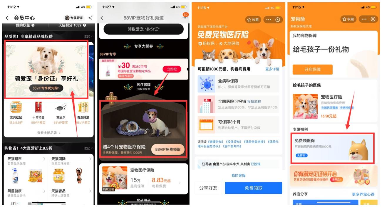 免费领取3~4个月宠物保险-趣酷猫资源网