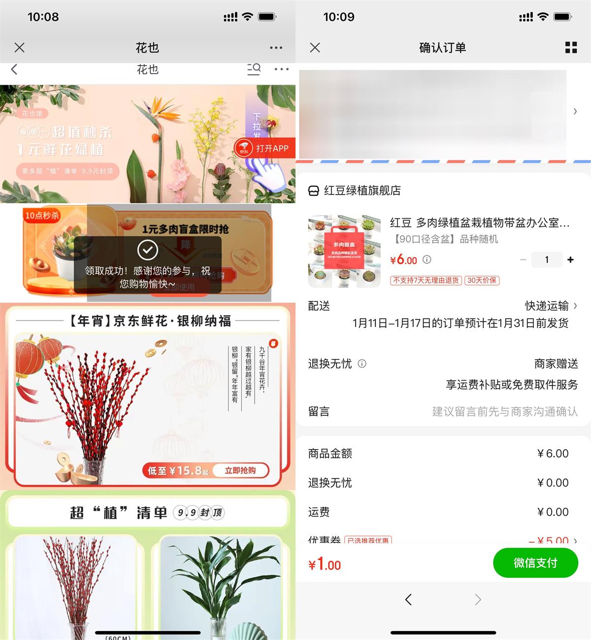 京东1元撸多肉植物盆栽盲盒-趣酷猫资源网