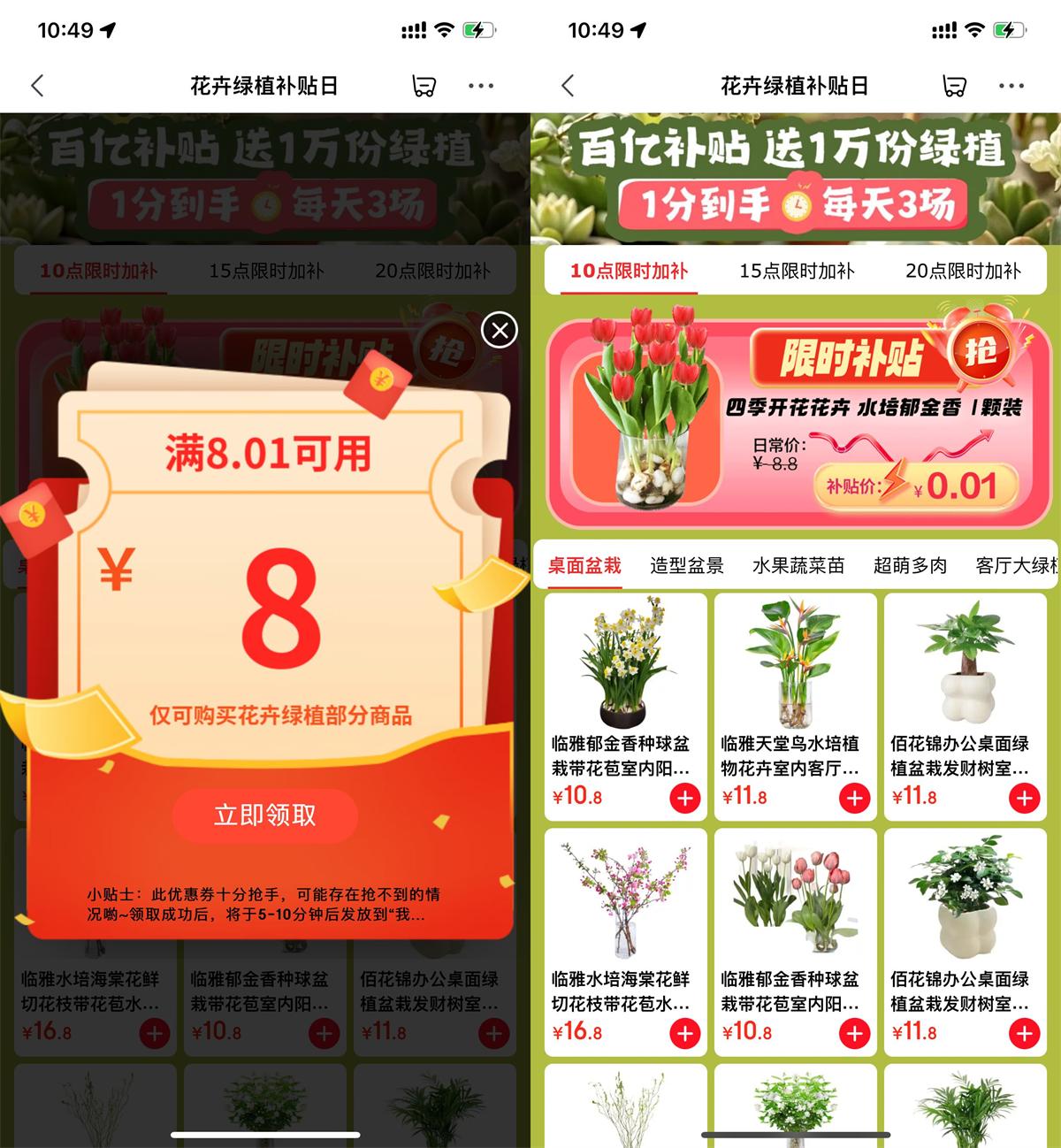 京东每天整点抢0.01绿植包邮-趣酷猫资源网