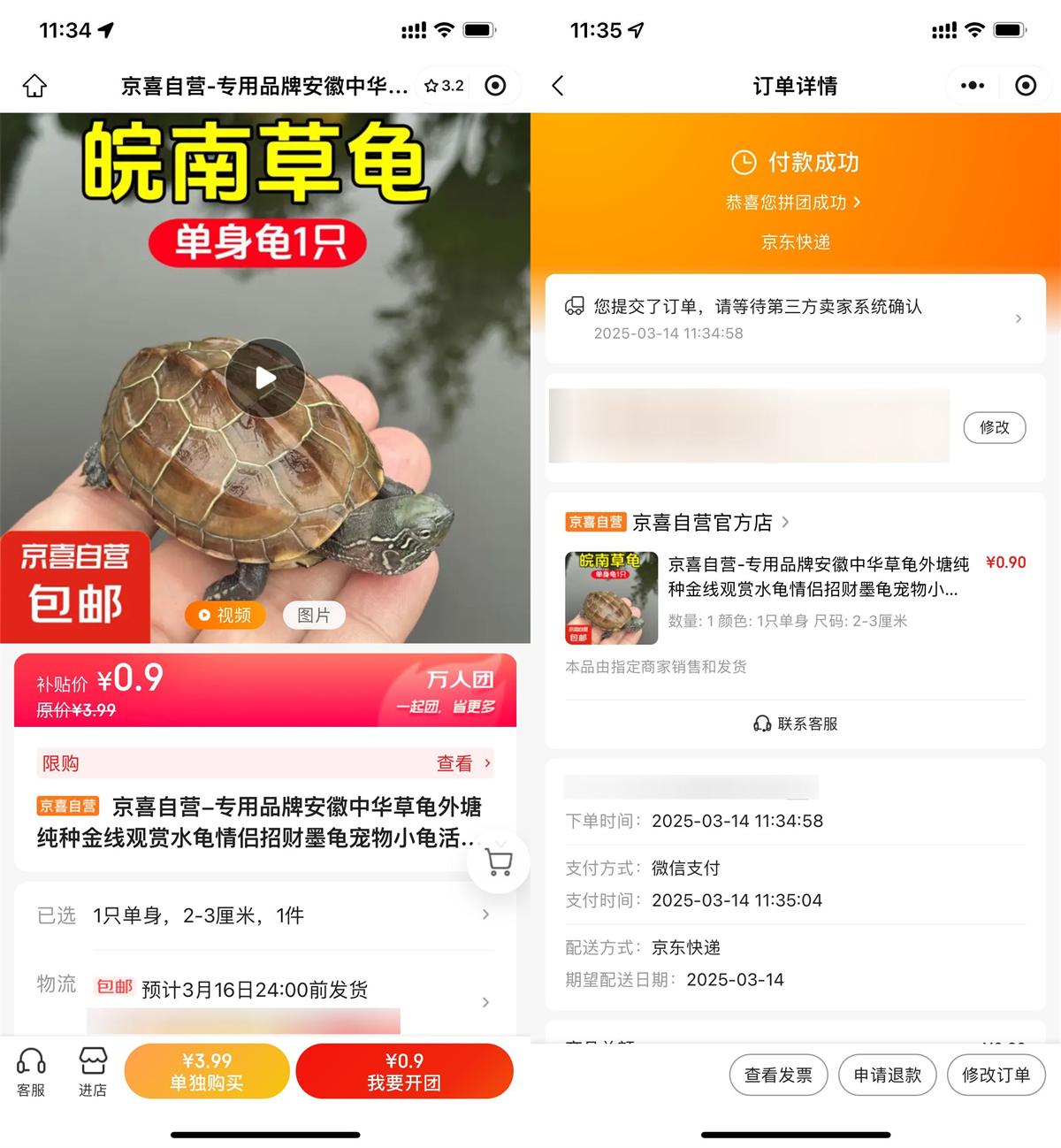 京东拼团0.9亓撸中华草龟1只-趣酷猫资源网