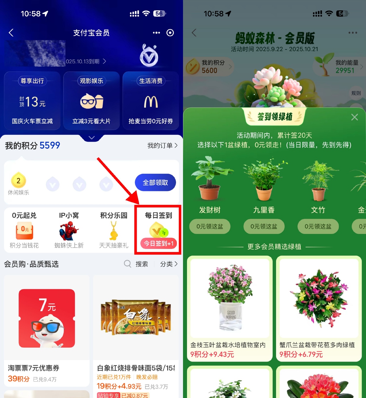 支付宝蚂蚁森林签20天领绿植-趣酷猫资源网