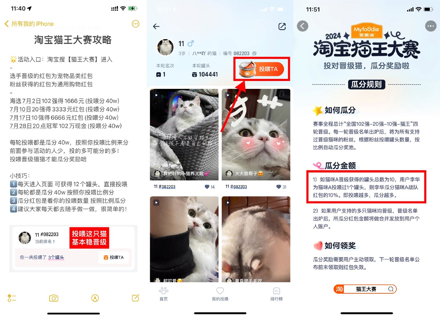 淘宝猫王大赛投喂得最高666亓-趣酷猫资源网
