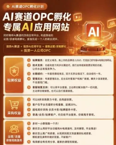 【首发】OPC一人公司项目,单日500+,手机电脑不限制,打造属于自己的品牌画布AI产品,收费陪跑【揭秘】 【首发】OPC一人公司项目,单日500+,手机电脑不限制,打造属于自己的品牌画布AI产品,收费陪跑【揭秘】