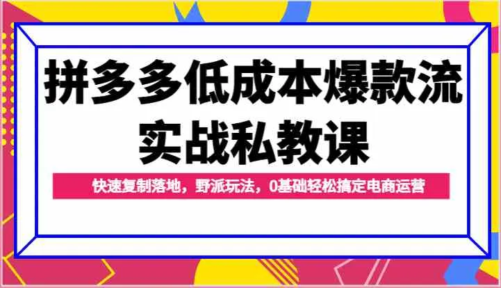 拼多多低成本爆款流实战私教课，快速复制落地，野派玩法，0基础轻松搞定电商运营-趣酷猫资源网