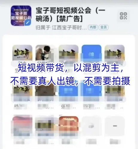 宝子哥头部团队短视频带货，以混剪为主，不需要真人出镜，不需要拍摄【更新11月】-趣酷猫资源网