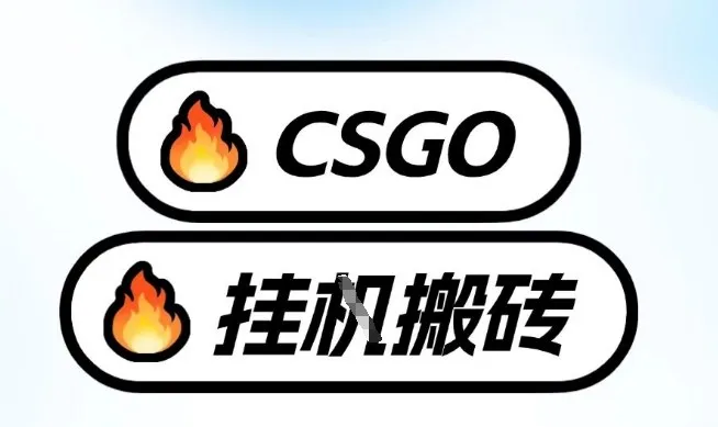 真全网独家CSGO挂G，最新玩法,单日捡漏1K+，不用电脑，不用打游戏【揭秘】-趣酷猫资源网
