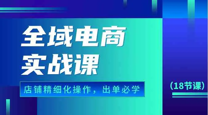 全域电商实战课，个人店铺精细化操作流程，出单必学内容（18节课）-趣酷猫资源网