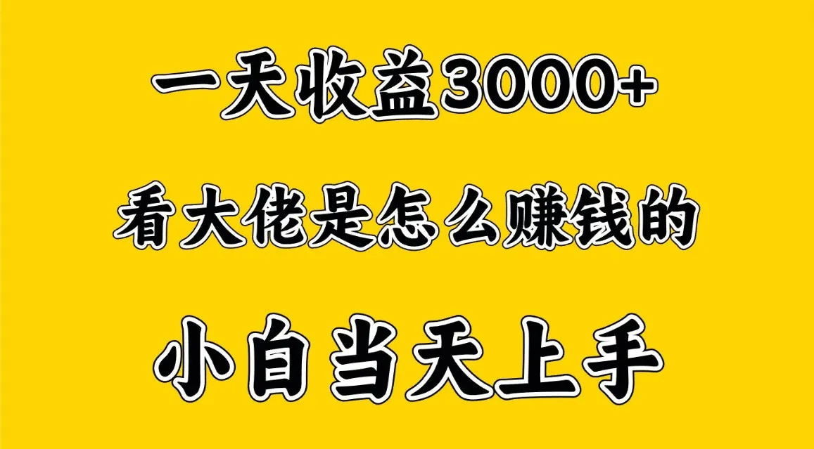 一天赚3000多，大佬是这样赚到钱的，小白当天上手，穷人翻身项目-趣酷猫资源网