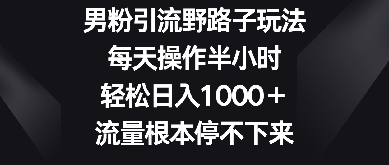 男粉引流野路子玩法，每天操作半小时轻松日入1000＋，流量根本停不下来-趣酷猫资源网