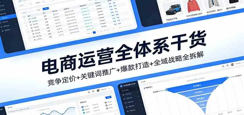 电商运营全体系干货，竞争定价+关键词推广+爆款打造+全域战略全拆解-趣酷猫资源网