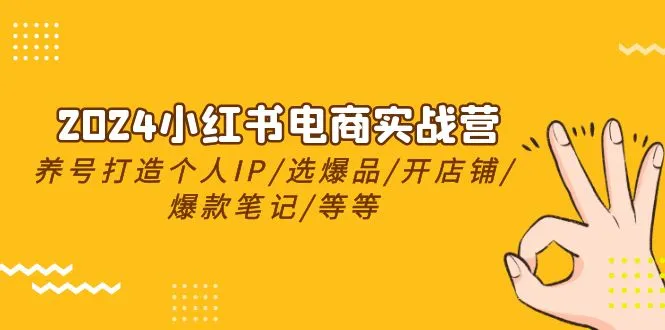 2024小红书电商实战营，养号打造IP/选爆品/开店铺/爆款笔记/等等（24节）-趣酷猫资源网