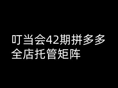 叮当会拼多多打爆班原创高阶技术第42期，拼多多全店托管矩阵 - 趣酷猫