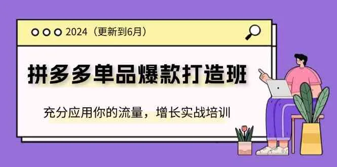 2024拼多多单品爆款打造班，充分应用你的流量，增长实战培训(更新6月)-趣酷猫资源网