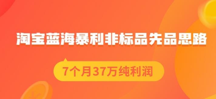 盗坤淘宝蓝海暴利非标品先品思路，7个月37万纯利润，压箱干货分享！【付费文章】 - 趣酷猫