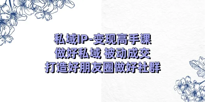 私域IP变现高手课：做好私域被动成交，打造好朋友圈做好社群（18节）-趣酷猫资源网