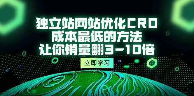 独立站网站优化CRO，成本最低的方法，让你销量翻3-10倍（5节课）-趣酷猫资源网
