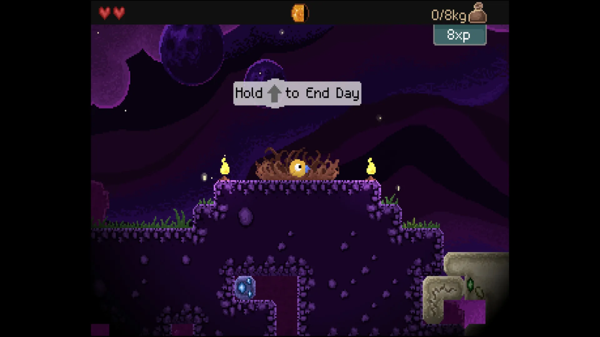 钻头鸟/Drill Bird 钻头鸟/Drill Bird