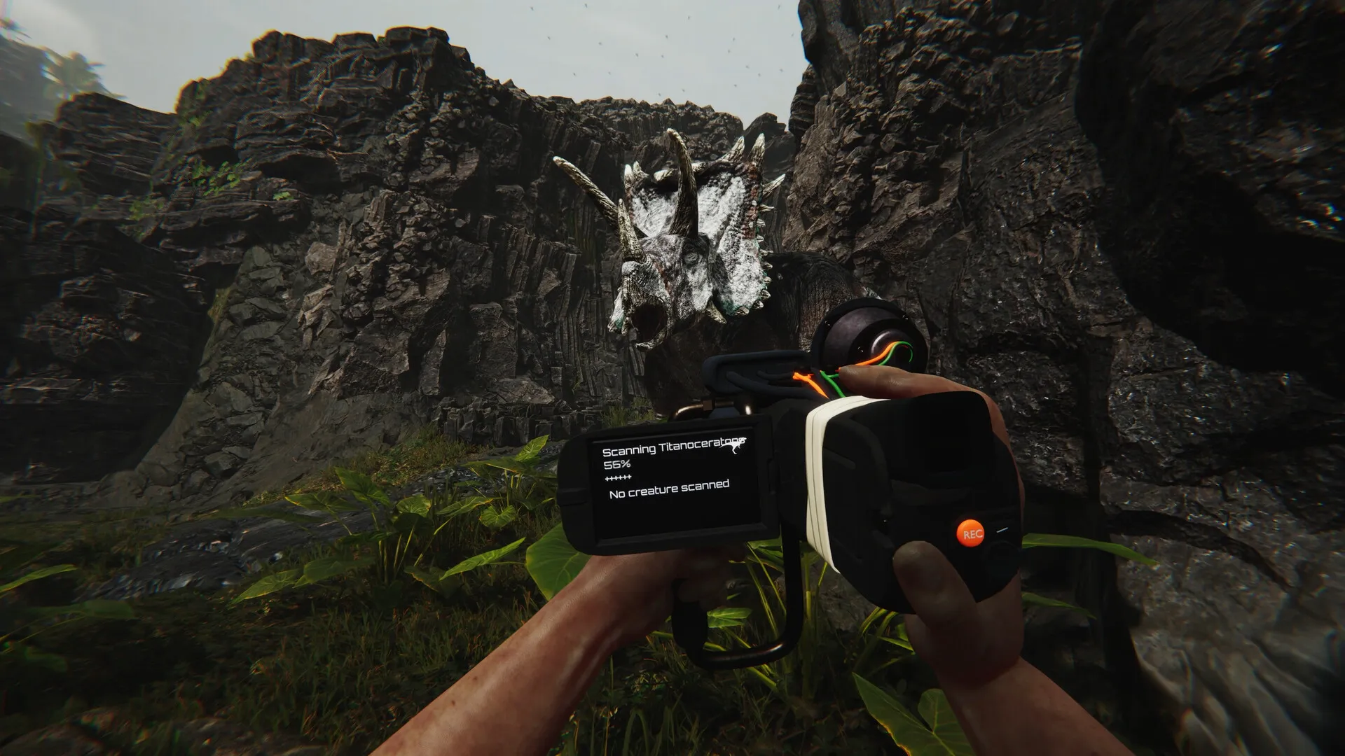 蛮荒计划/FEROCIOUS