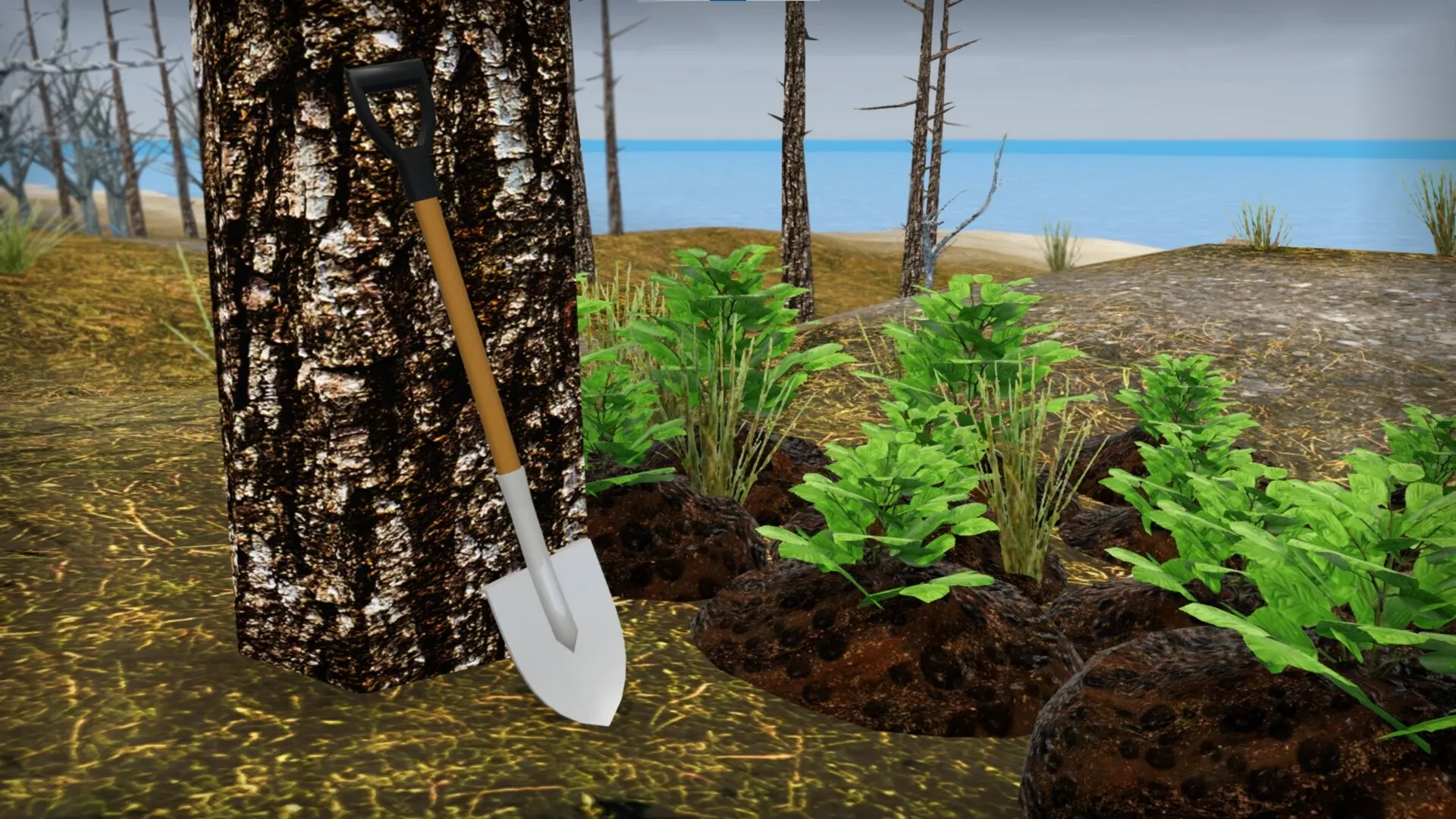 我的破车/Mon Bazou