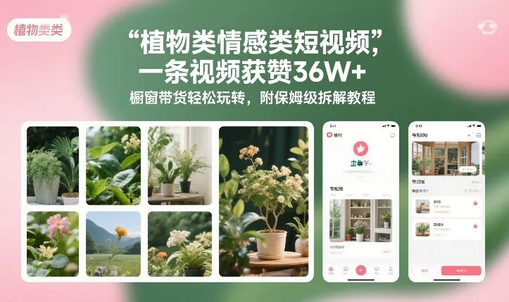 植物类情感类短视频，一条视频获赞36W+，橱窗带货轻松玩转，附保姆级拆解教程-趣酷猫资源网