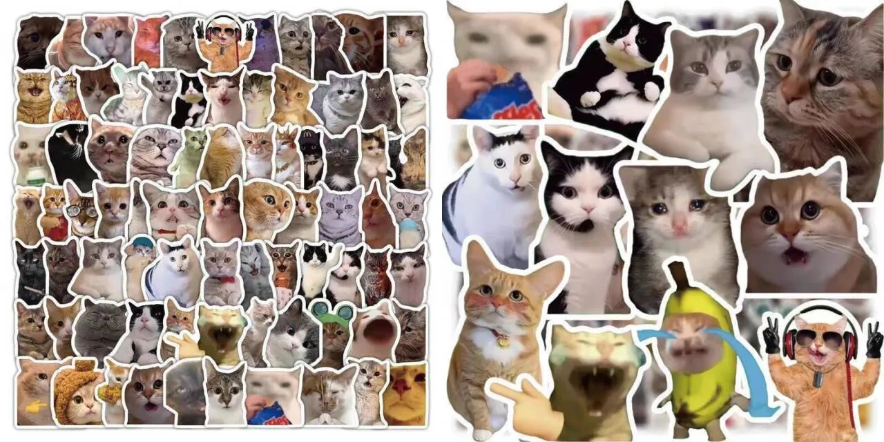某宝付费素材，猫meme素材绿幕视频剪辑素材小猫咪跳舞，适合抖音B站搞笑短视频合集！
