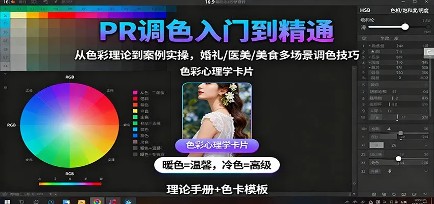 PR调色入门到精通：从色彩理论到案例实操，婚礼/医美/美食多场景调色技巧-趣酷猫资源网