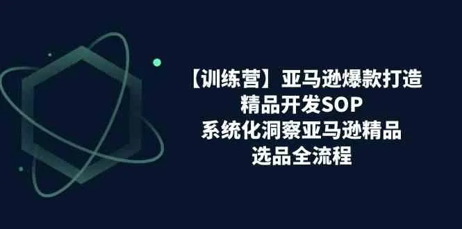 亚马逊爆款打造之精品开发SOP【训练营】，系统化洞察亚马逊精品选品全流程-趣酷猫资源网