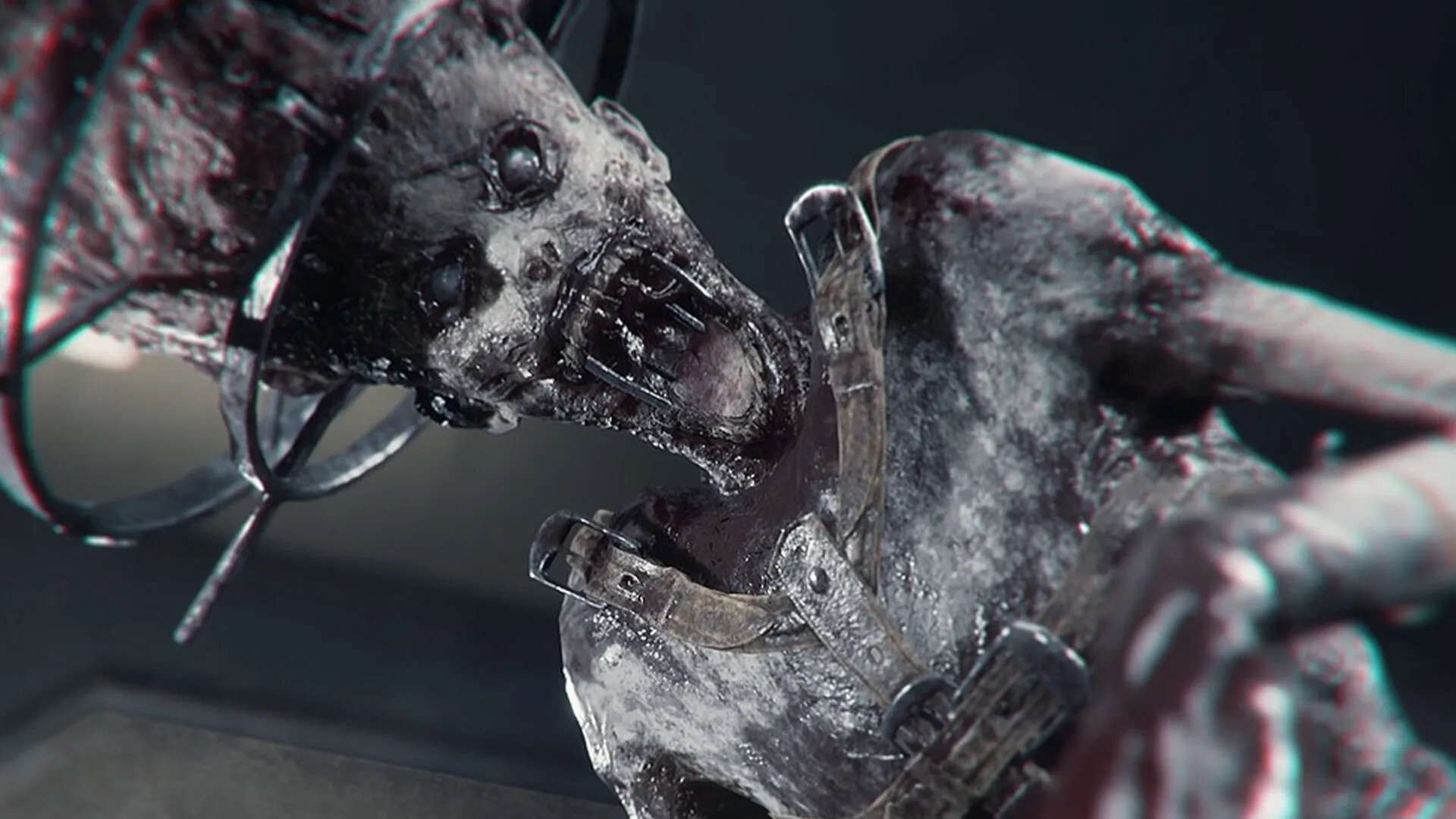 绿光/The Green Light 绿光/The Green Light