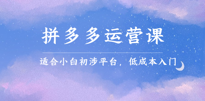 拼多多运营课，适合小白初涉平台，低成本入门 - 趣酷猫