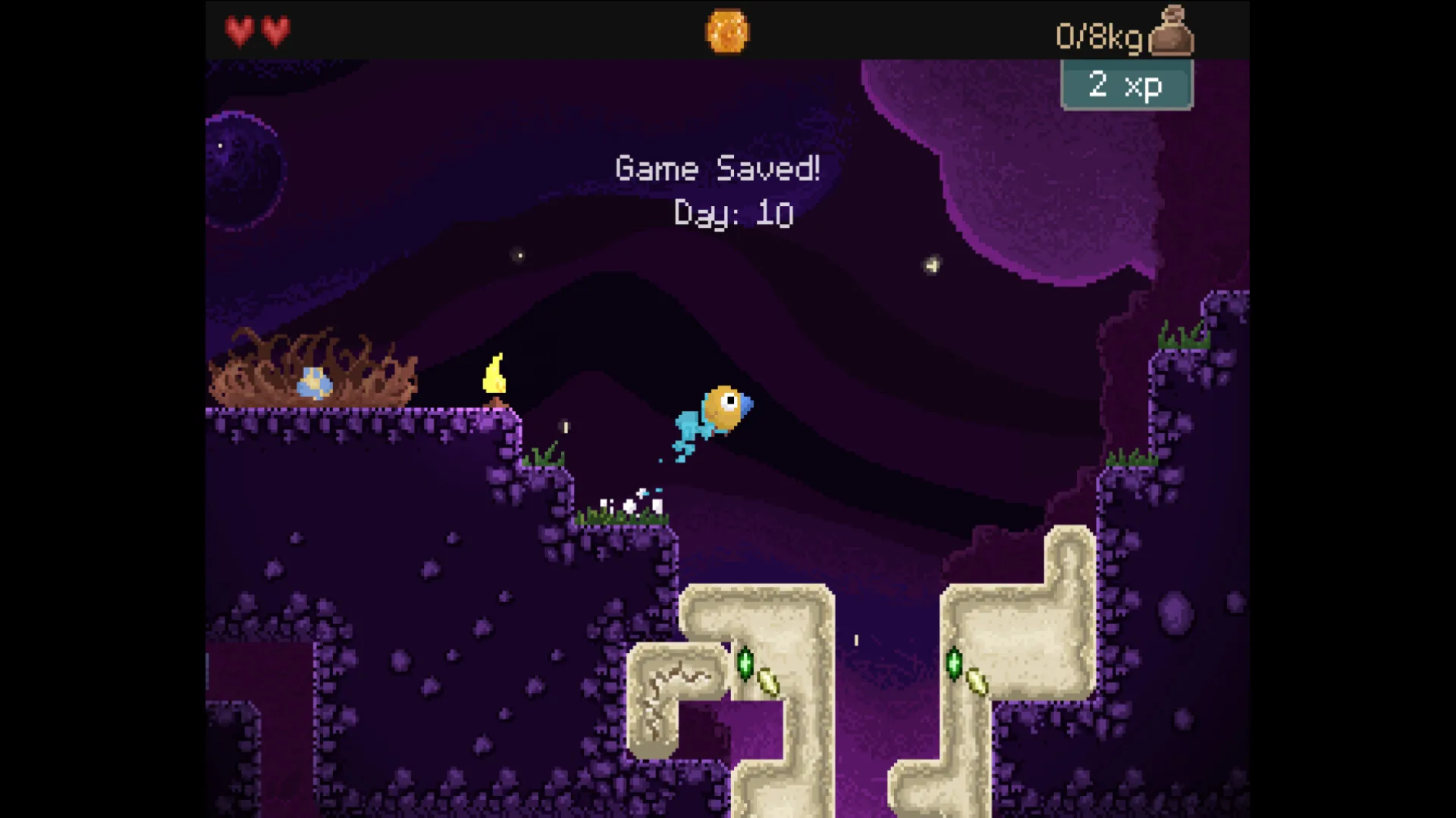 钻头鸟/Drill Bird-趣酷猫资源网