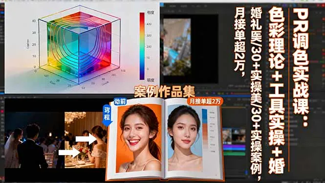 PR调色实战课：色彩理论+工具实操+婚礼医美/30+实操案例，月接单超2万-趣酷猫资源网