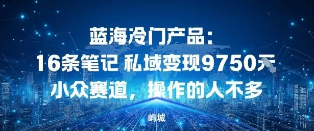 蓝海冷门产品：16条笔记私域变现9750米，小众赛道，操作的人不多-趣酷猫资源网