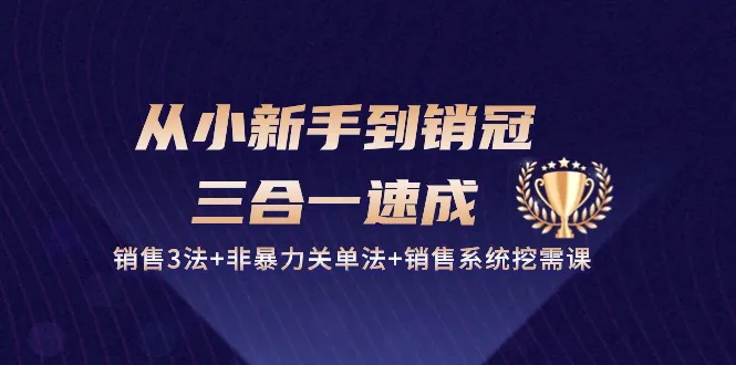 从小新手到销冠三合一速成：销售3法+非暴力关单法+销售系统挖需课 (27节)-趣酷猫资源网