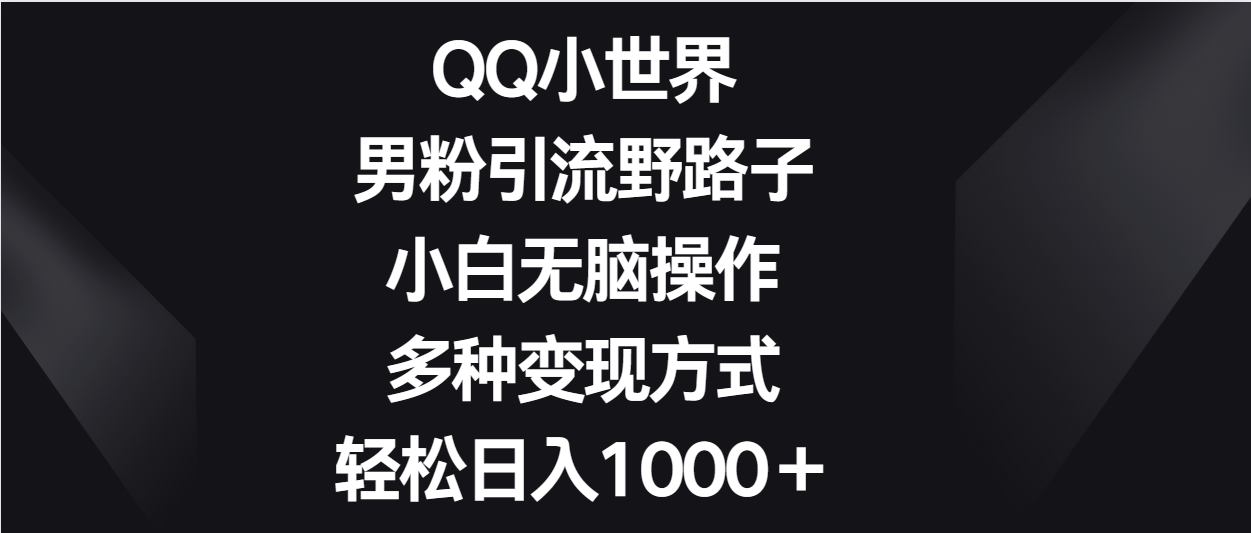 QQ小世界男粉引流野路子，小白无脑操作，多种变现方式轻松日入1000＋-趣酷猫资源网