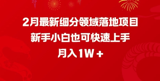 2月最新细分领域落地项目，新手小白也可快速上手，月入1W - 趣酷猫
