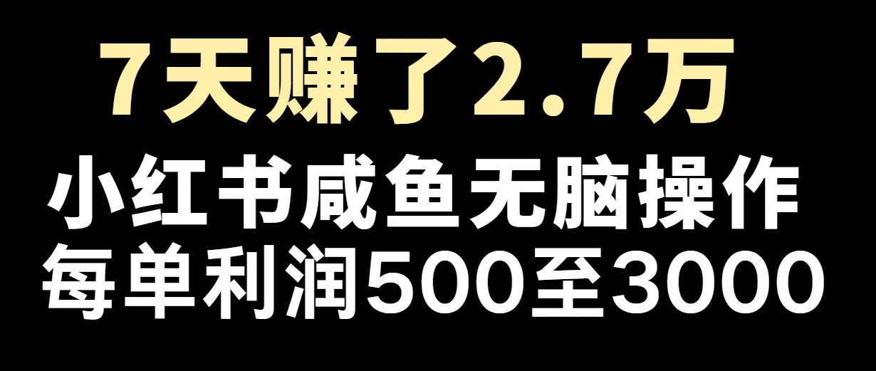 七天赚了2.7万！每单利润最少500+，轻松月入5万+小白有手就行-趣酷猫资源网