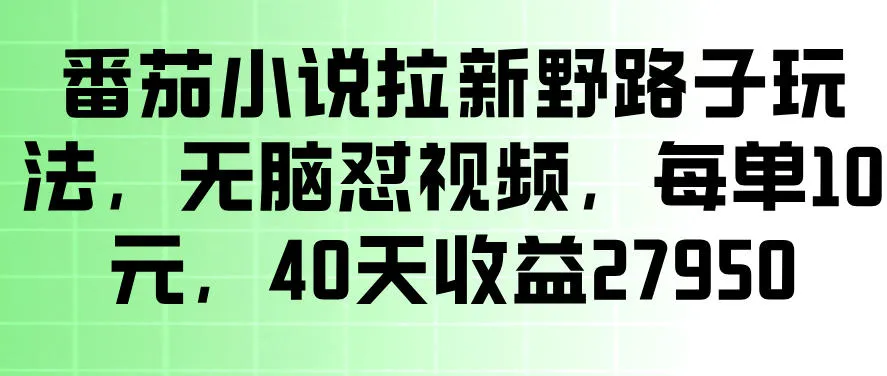 番茄小说拉新野路子玩法,无脑怼视频,玩法简单、见效快,每单10米,40天收益27950 番茄小说拉新野路子玩法,无脑怼视频,玩法简单、见效快,每单10米,40天收益27950