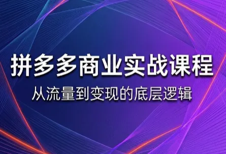 “拼多多2026课程详解（6月更新版）- 缥缈版”_趣客盟