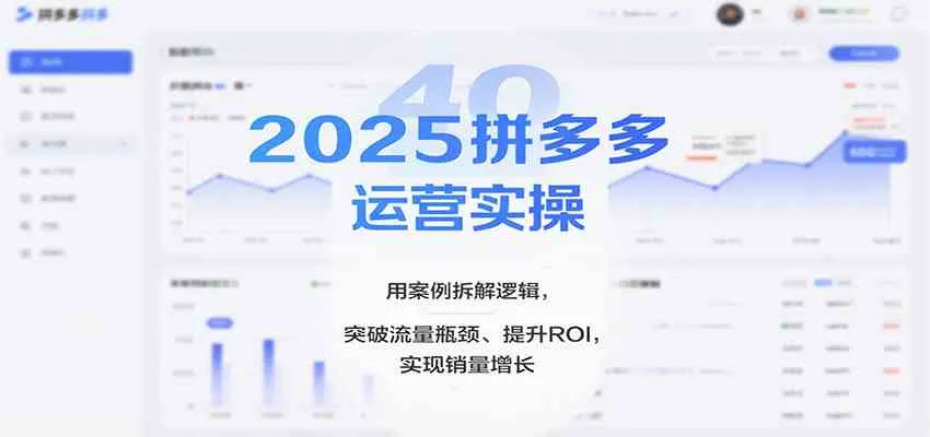 2025拼多多运营实操，用案例拆解逻辑，突破流量瓶颈、提升ROI，实现销量增长（更新）-趣酷猫资源网