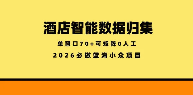 酒店智能数据归集，小众蓝海已经稳定半年之久，单窗口70+零成本矩阵开干【揭秘】_趣客盟