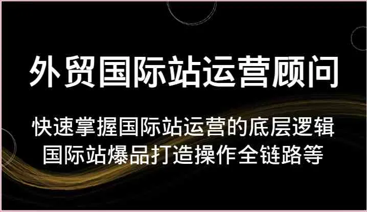 外贸国际站运营顾问-快速掌握国际站运营的底层逻辑，国际站爆品打造操作全链路等-趣酷猫资源网