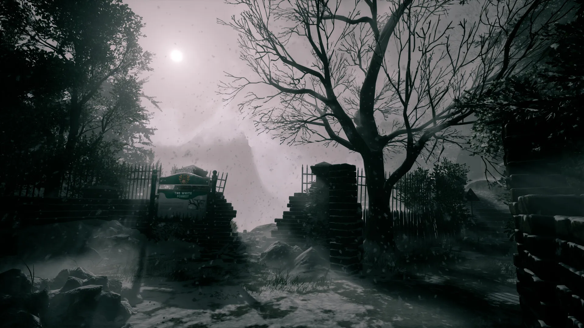 她要离开/She’s Leaving-趣酷猫资源网