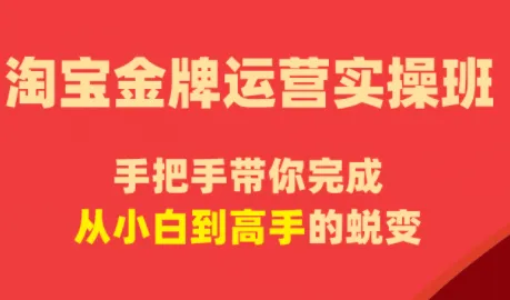 飓风电商·淘宝金牌运营实操班_趣客盟