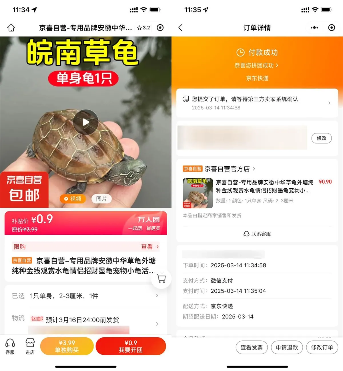 京东拼团0.9亓撸中华草龟1只-趣酷猫资源网