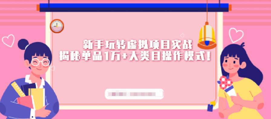 新手玩转虚拟项目实战，揭秘单品1万+大类目操作模式【视频课程】 - 趣酷猫