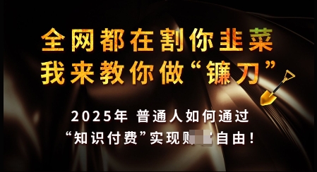 知识付费如何做到月入过W+，2025我来教你做“镰刀”【揭秘】 - 趣酷猫