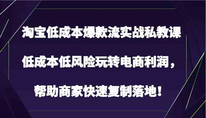 淘宝低成本爆款流实战私教课，低成本低风险玩转电商利润，帮助商家快速复制落地！-趣酷猫资源网