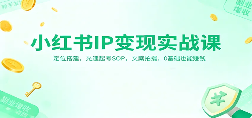 小红书IP变现实战课：定位搭建，光速起号SOP，文案拍摄，0基础也能赚钱-趣酷猫资源网