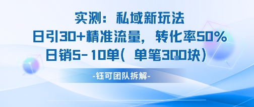 实测私域新玩法日引30加精准流量转化率50%日销5-10单每笔3张-趣酷猫资源网