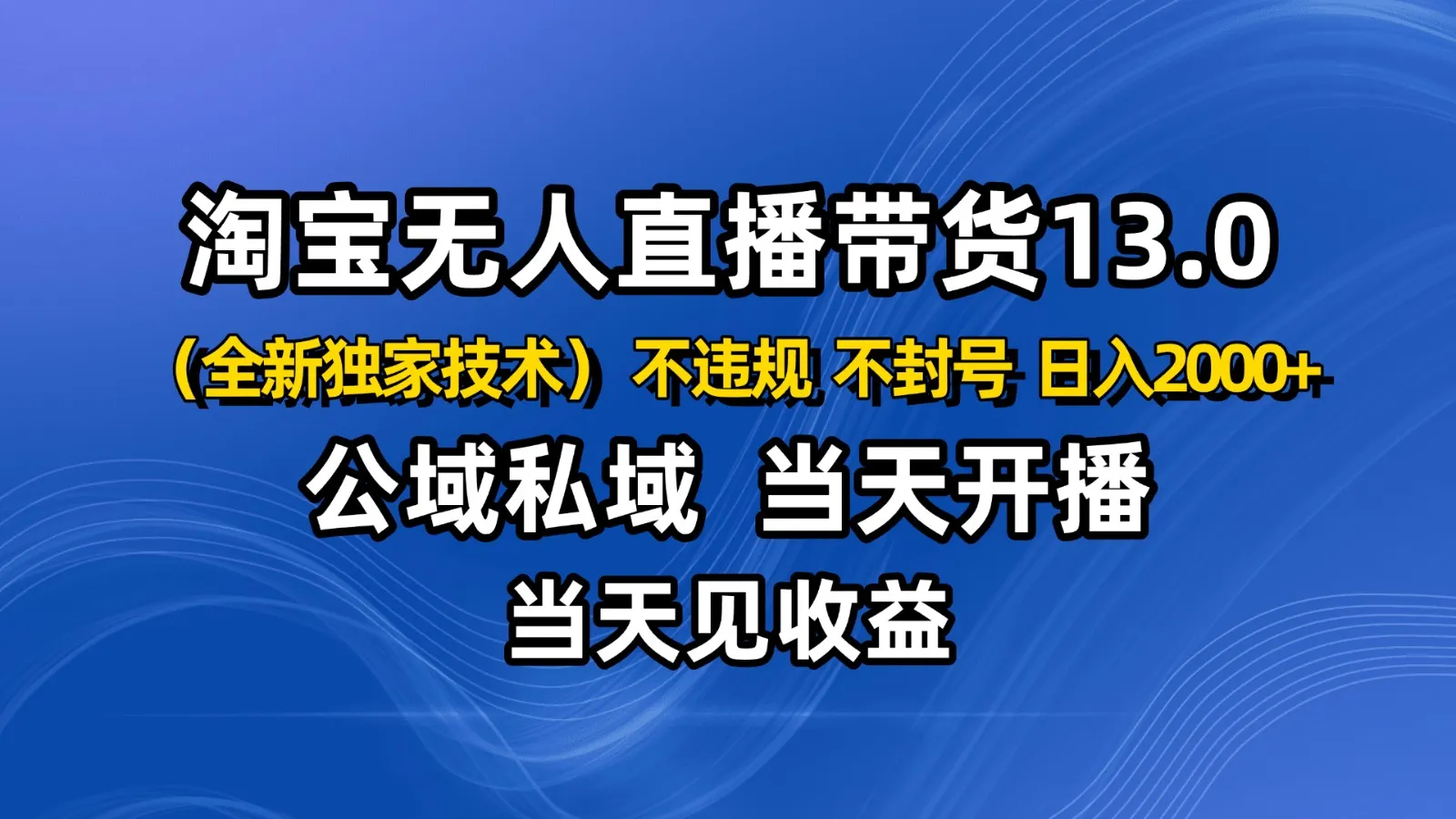 淘宝无人直播13.0，公域私域技术，不封号，不违规 布局下半年旺季赛道，日入2000+-趣酷猫资源网